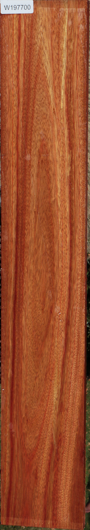 Bloodwood Lumber