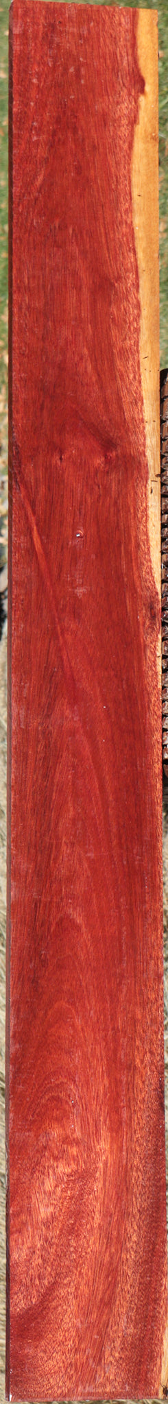 Bloodwood Lumber