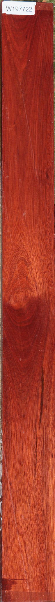 Bloodwood Lumber