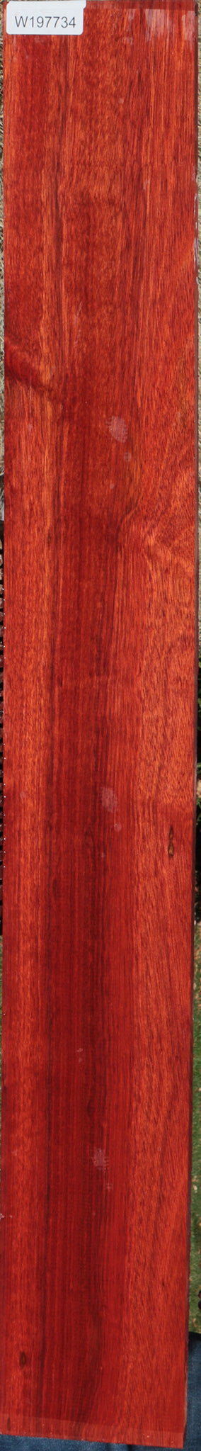 Bloodwood Lumber
