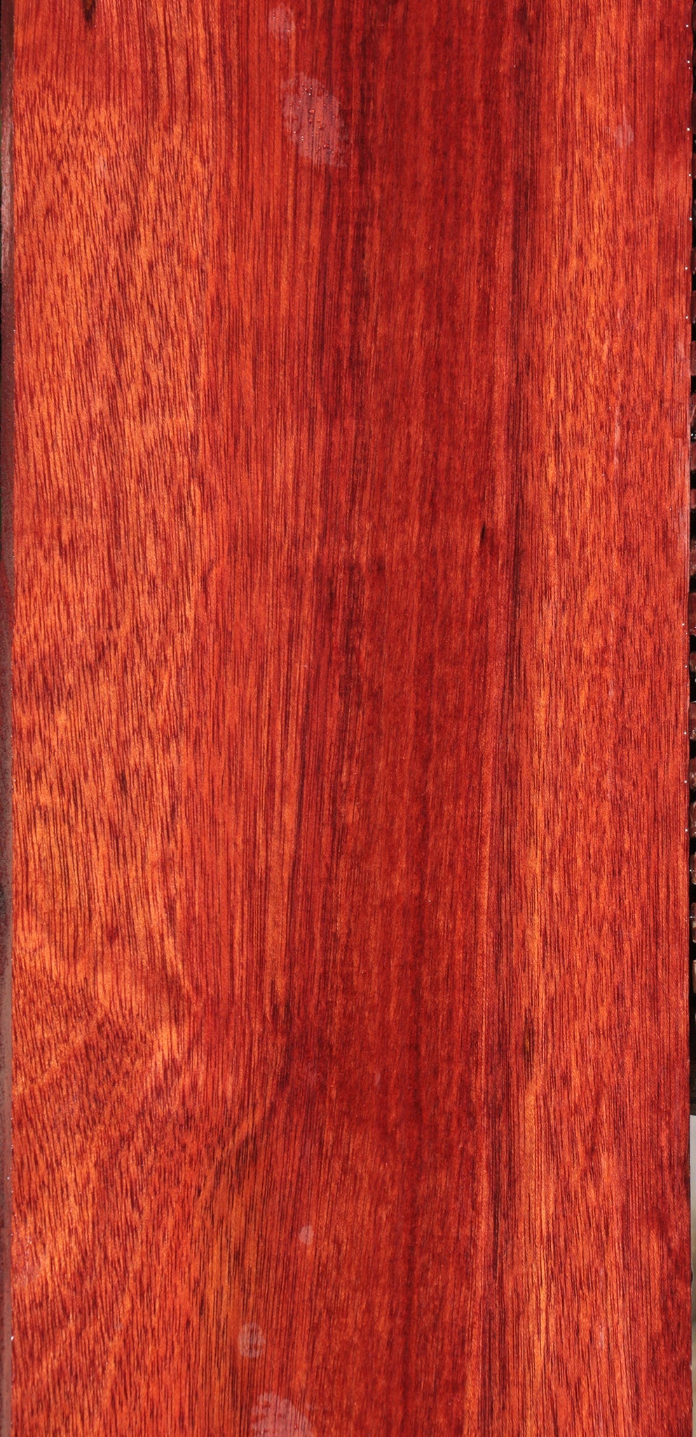 Bloodwood Lumber