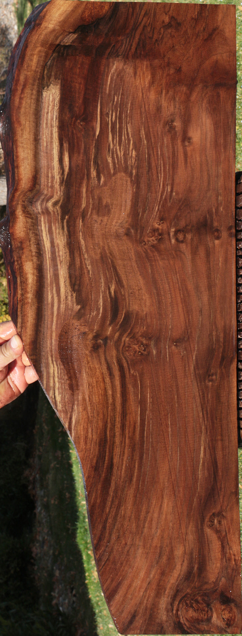 Claro Walnut Live Edge Lumber