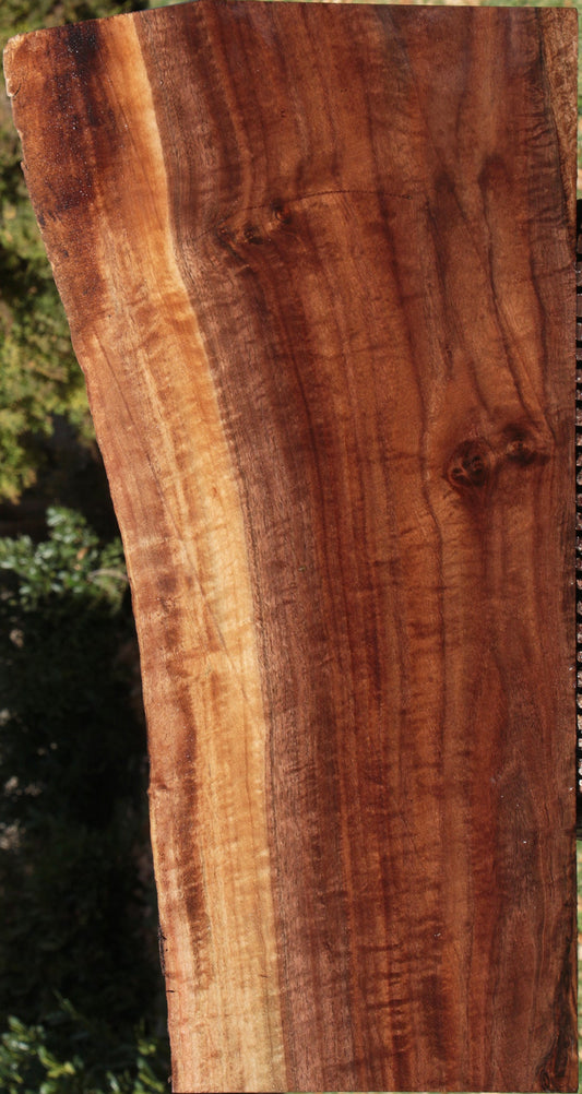 Claro Walnut Live Edge Lumber