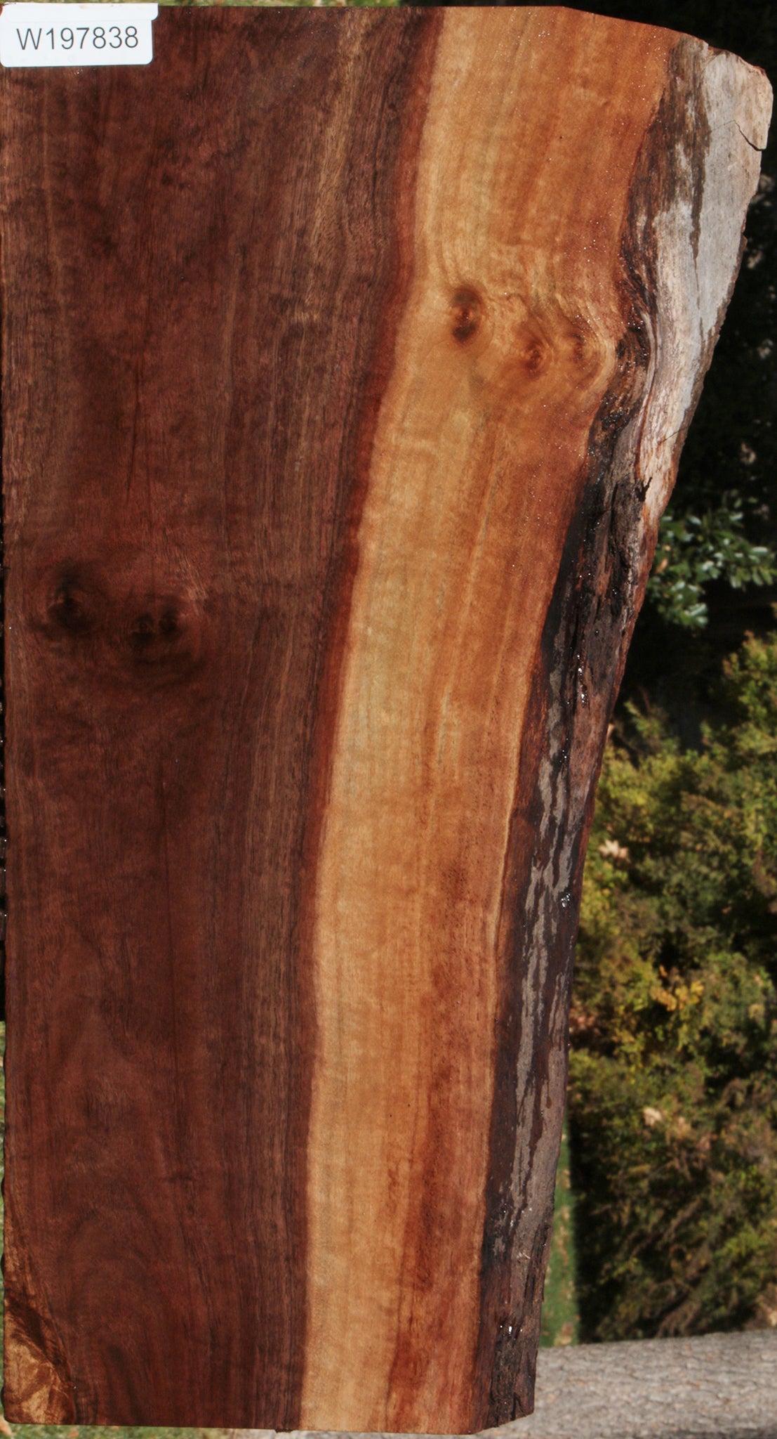 Claro Walnut Live Edge Lumber