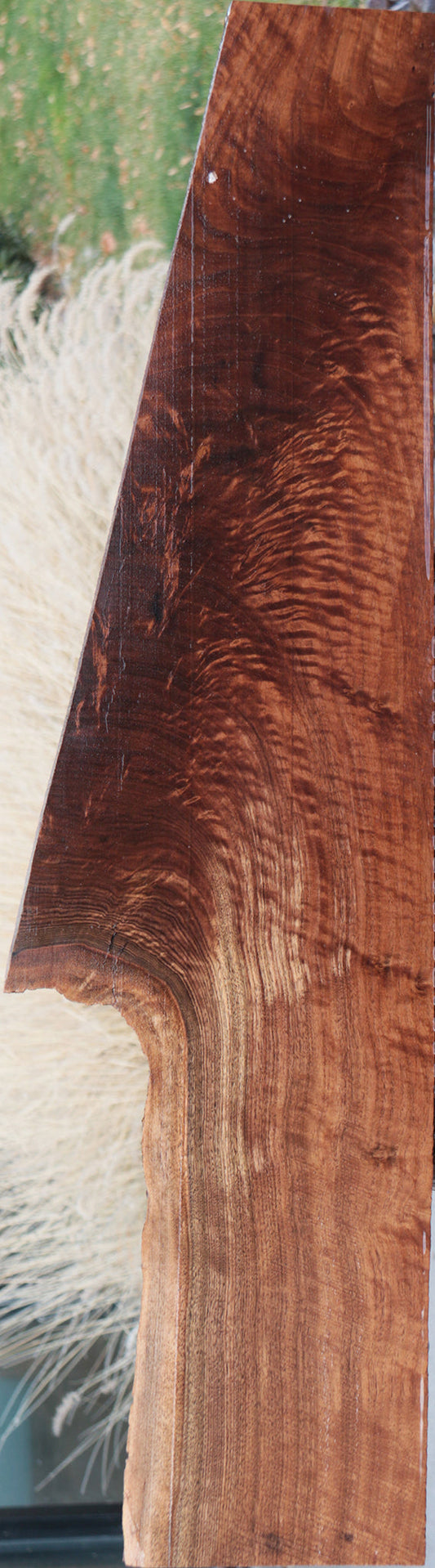 Extra Fancy Claro Walnut Live Edge Lumber