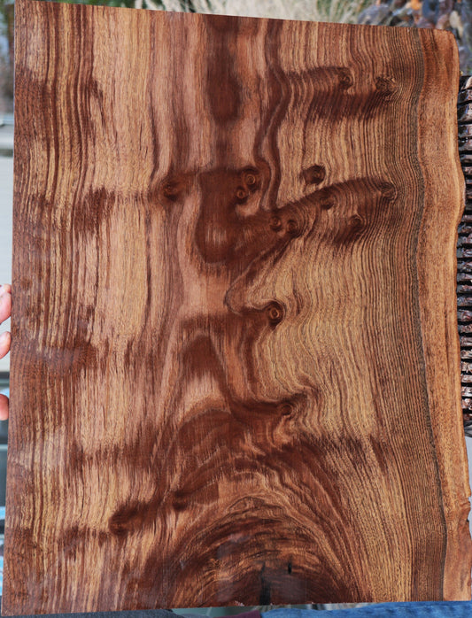 Claro Walnut Live Edge Lumber