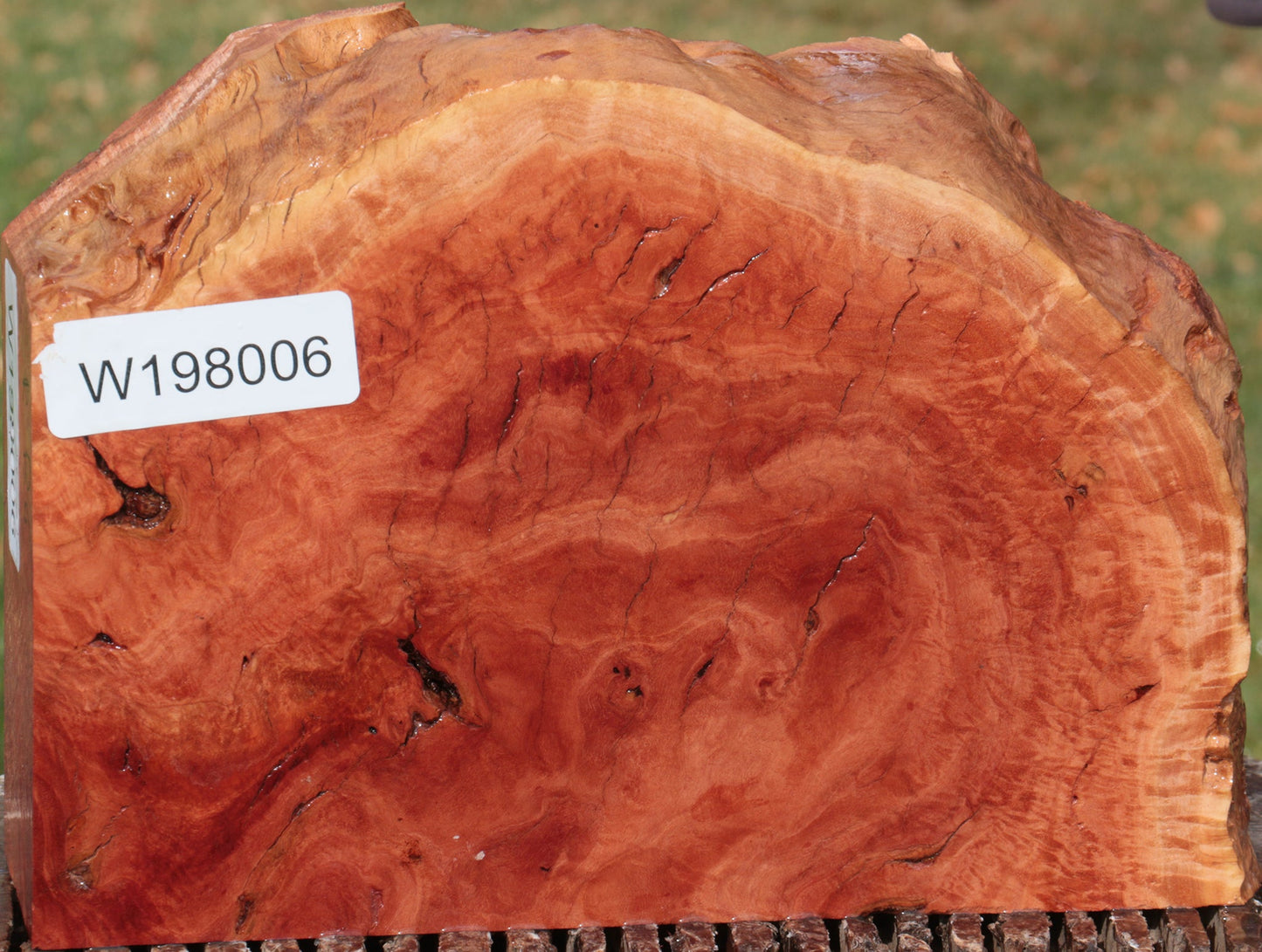 Red River Gum Burl Live Edge Lumber