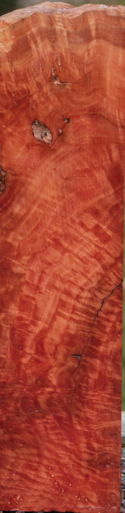 Red River Gum Burl Live Edge Lumber