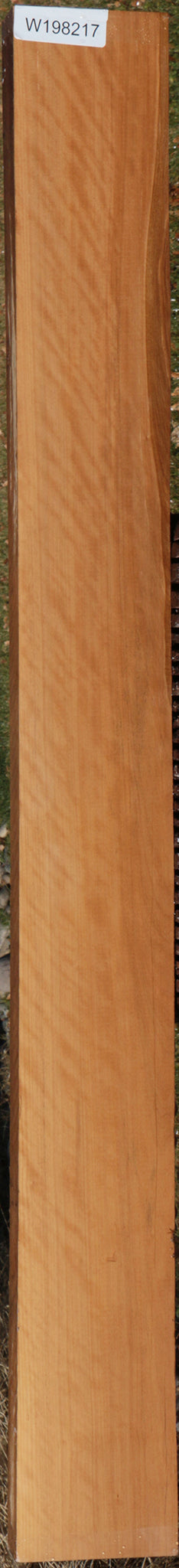 Exhibition Fiddleback Castello Boxwood Lumber