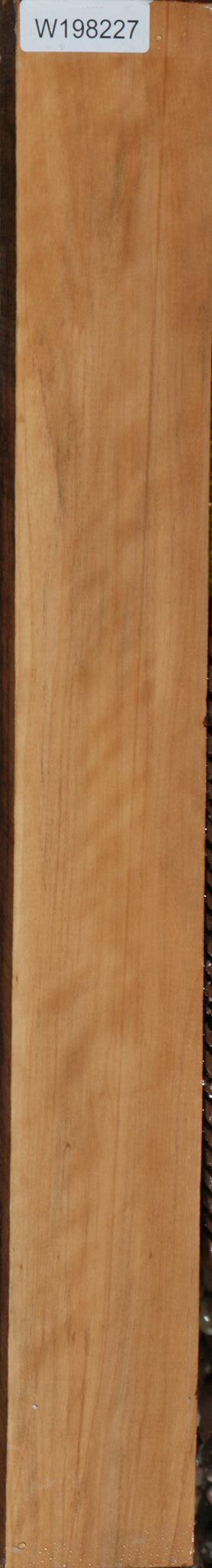 Fiddleback Castello Boxwood Lumber
