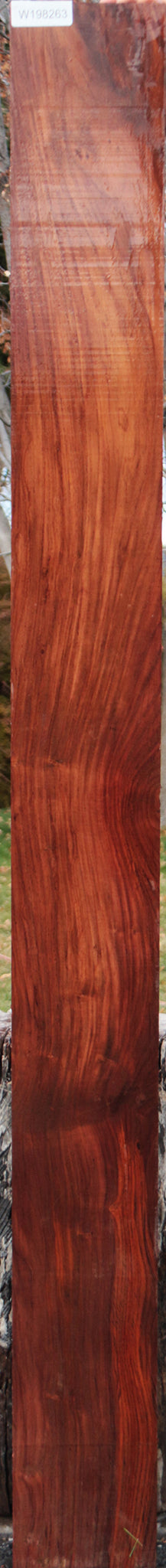 Extra Fancy Cocobolo Lumber