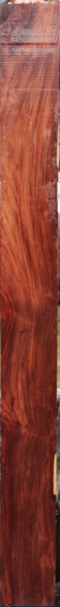 Extra Fancy Cocobolo Lumber