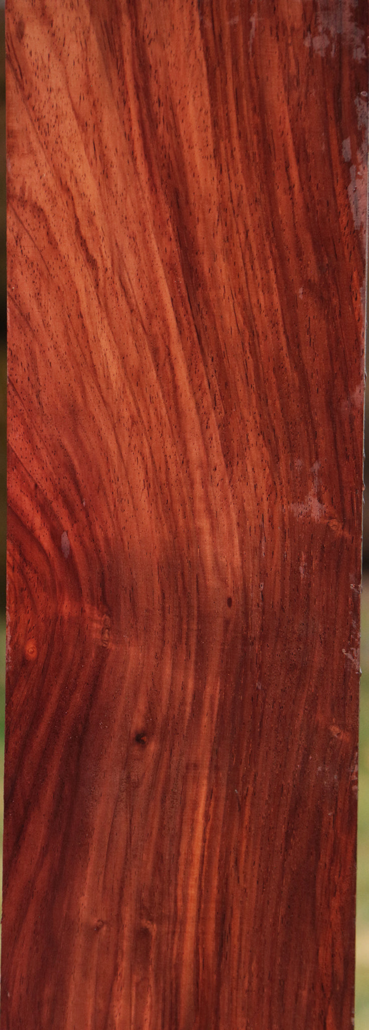 Extra Fancy Cocobolo Lumber