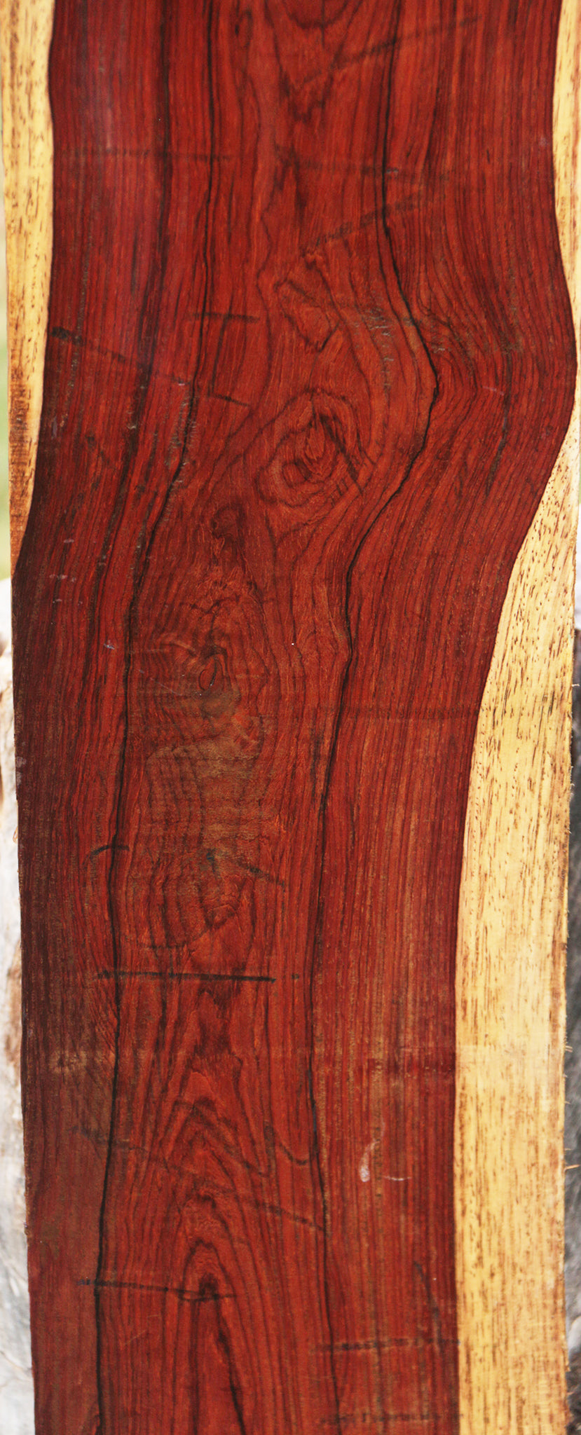 Cocobolo Lumber