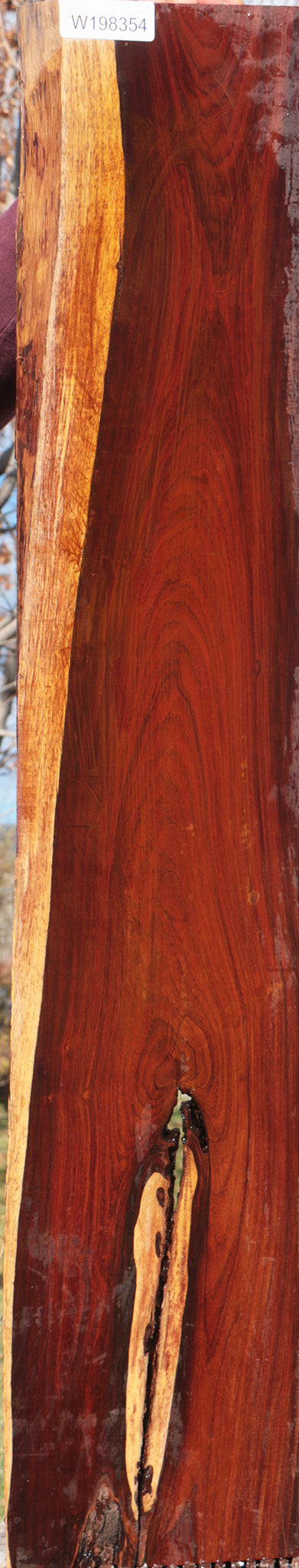 Cocobolo Live Edge Lumber
