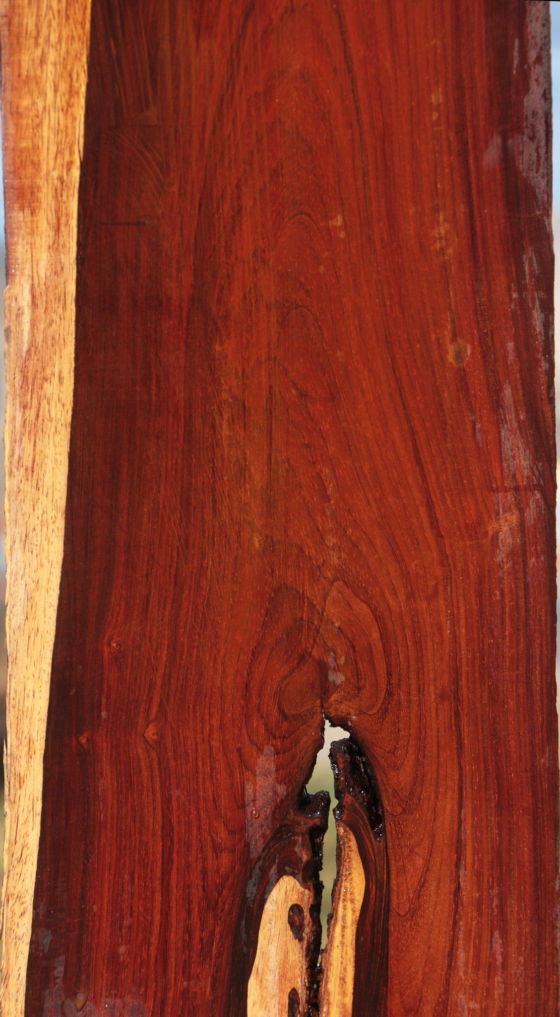 Cocobolo Live Edge Lumber