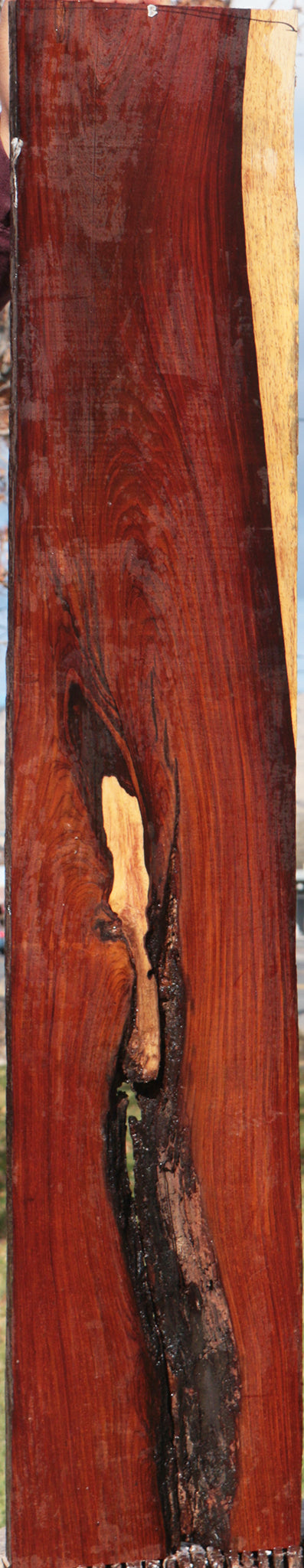 Cocobolo Live Edge Lumber