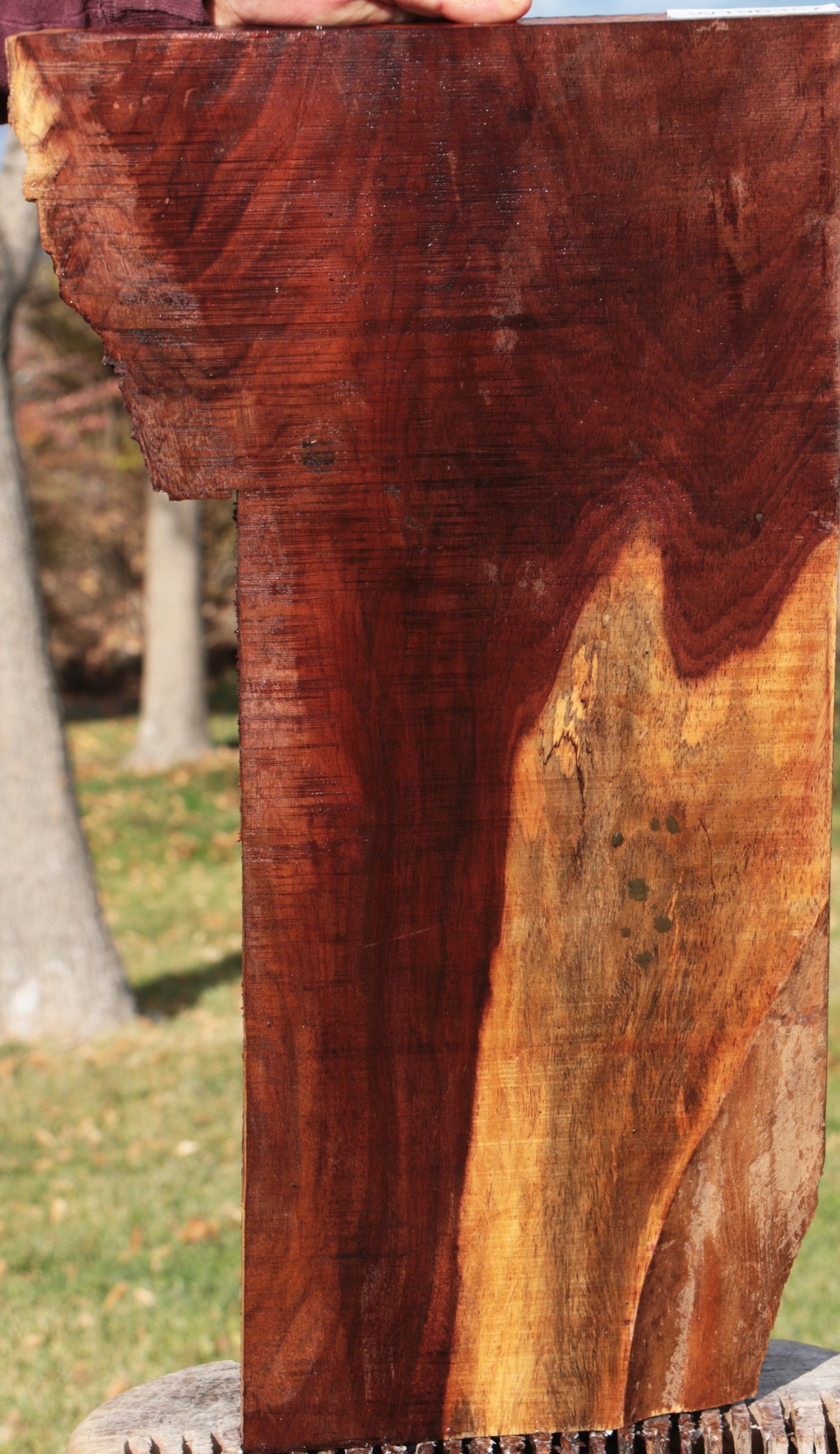 Extra Fancy Figured Cocobolo Lumber