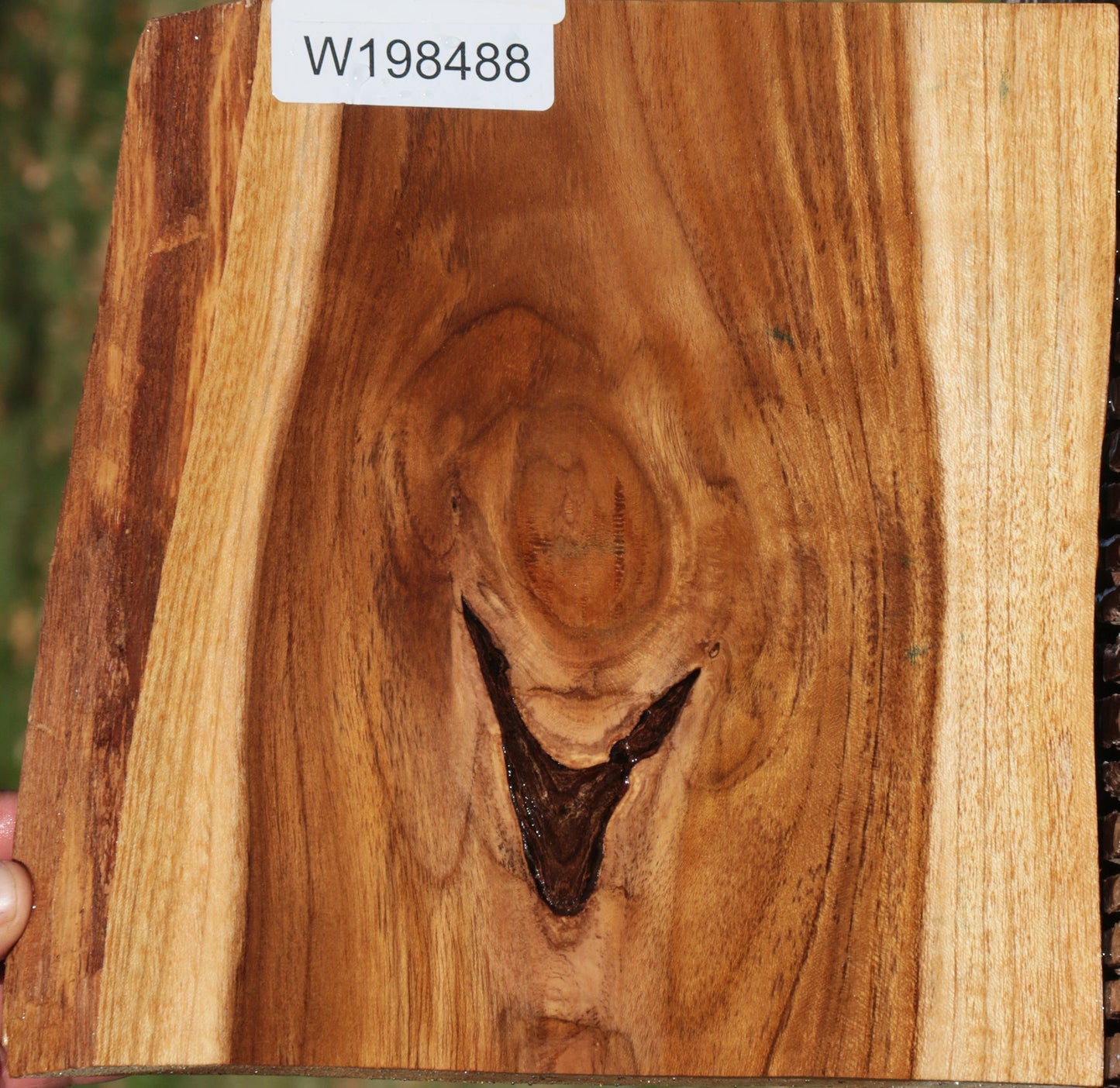 Figured Teak Live Edge Lumber