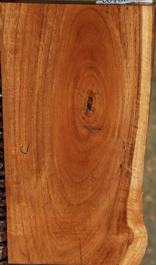 Figured Teak Live Edge Lumber