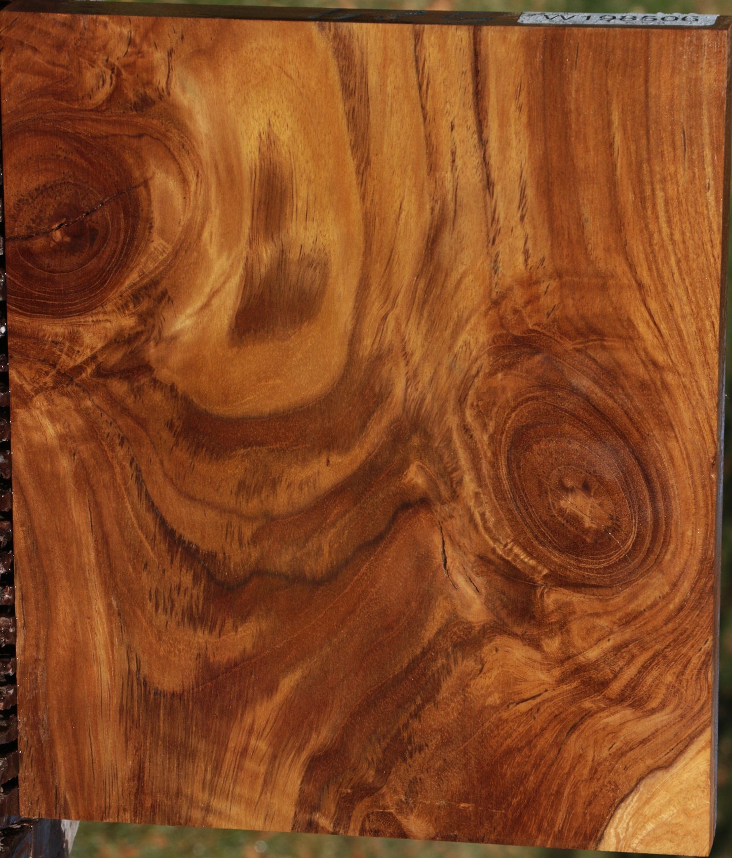 Figured Crotchwood Teak Lumber