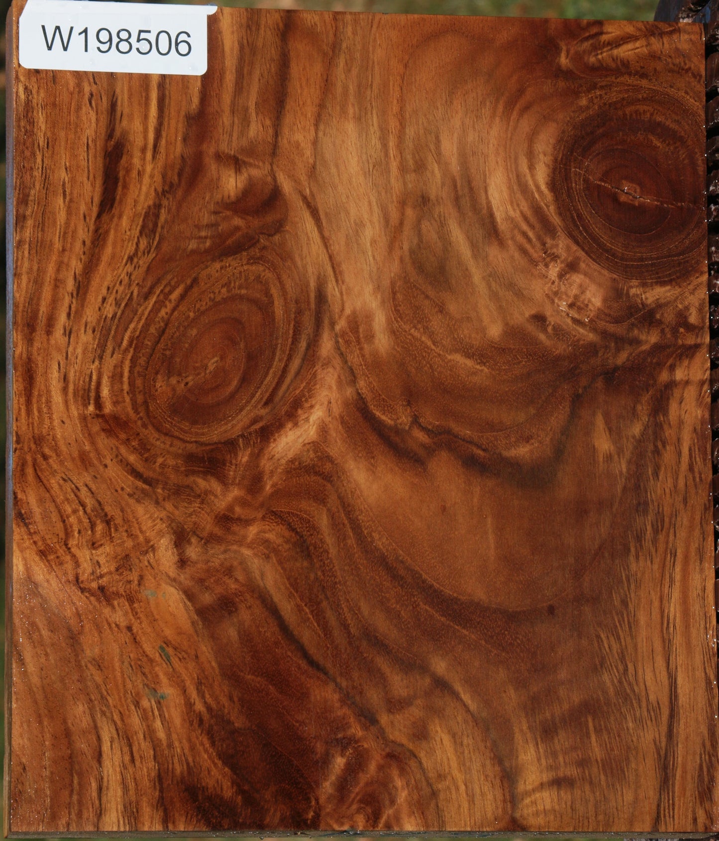 Figured Crotchwood Teak Lumber