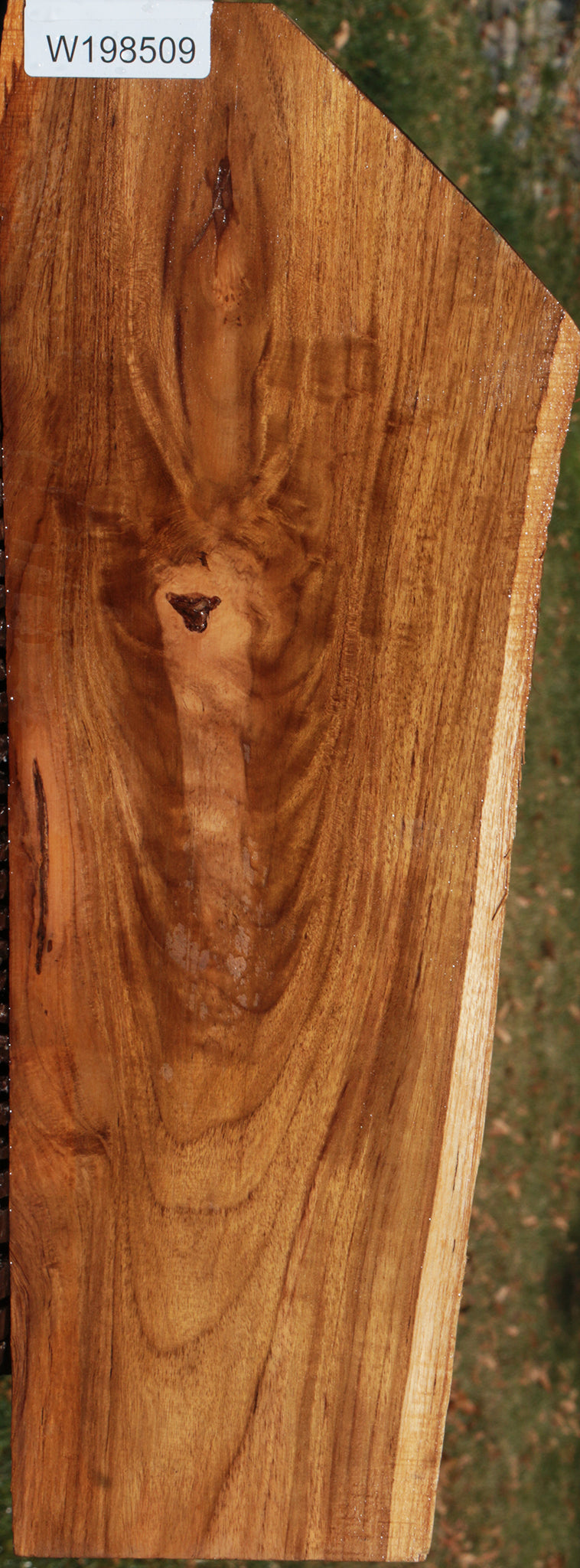 Figured Teak Live Edge Lumber