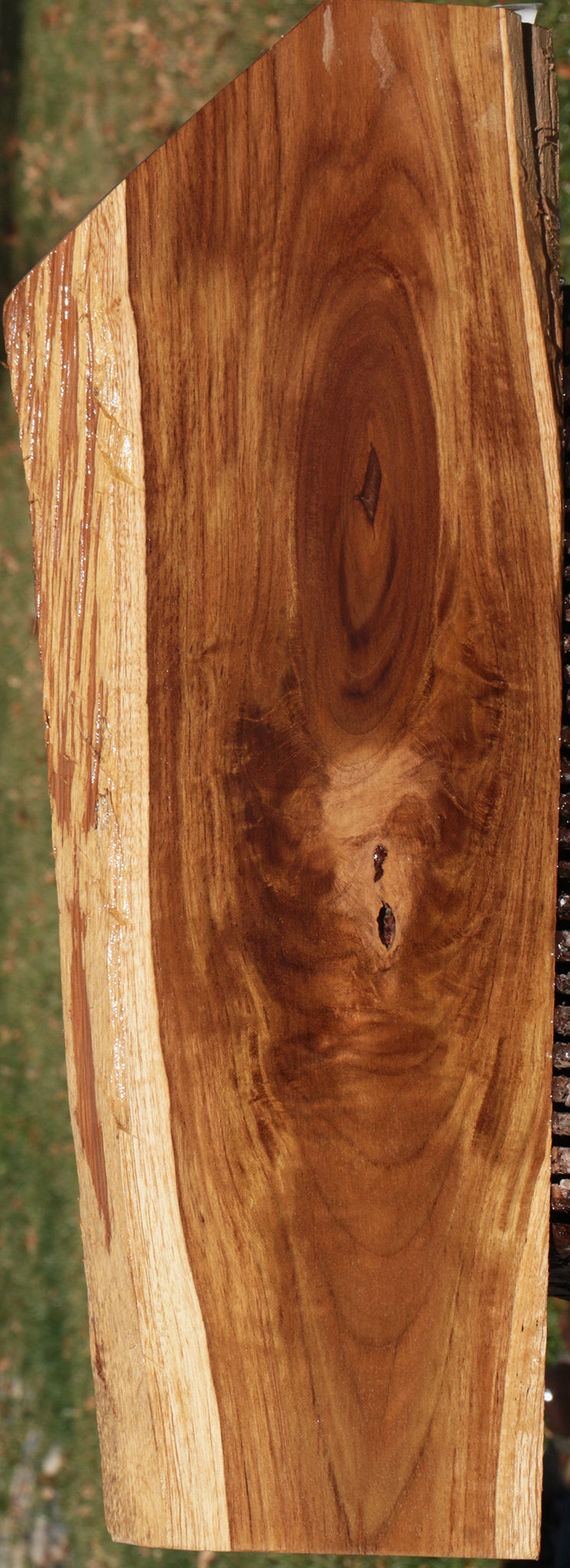 Figured Teak Live Edge Lumber