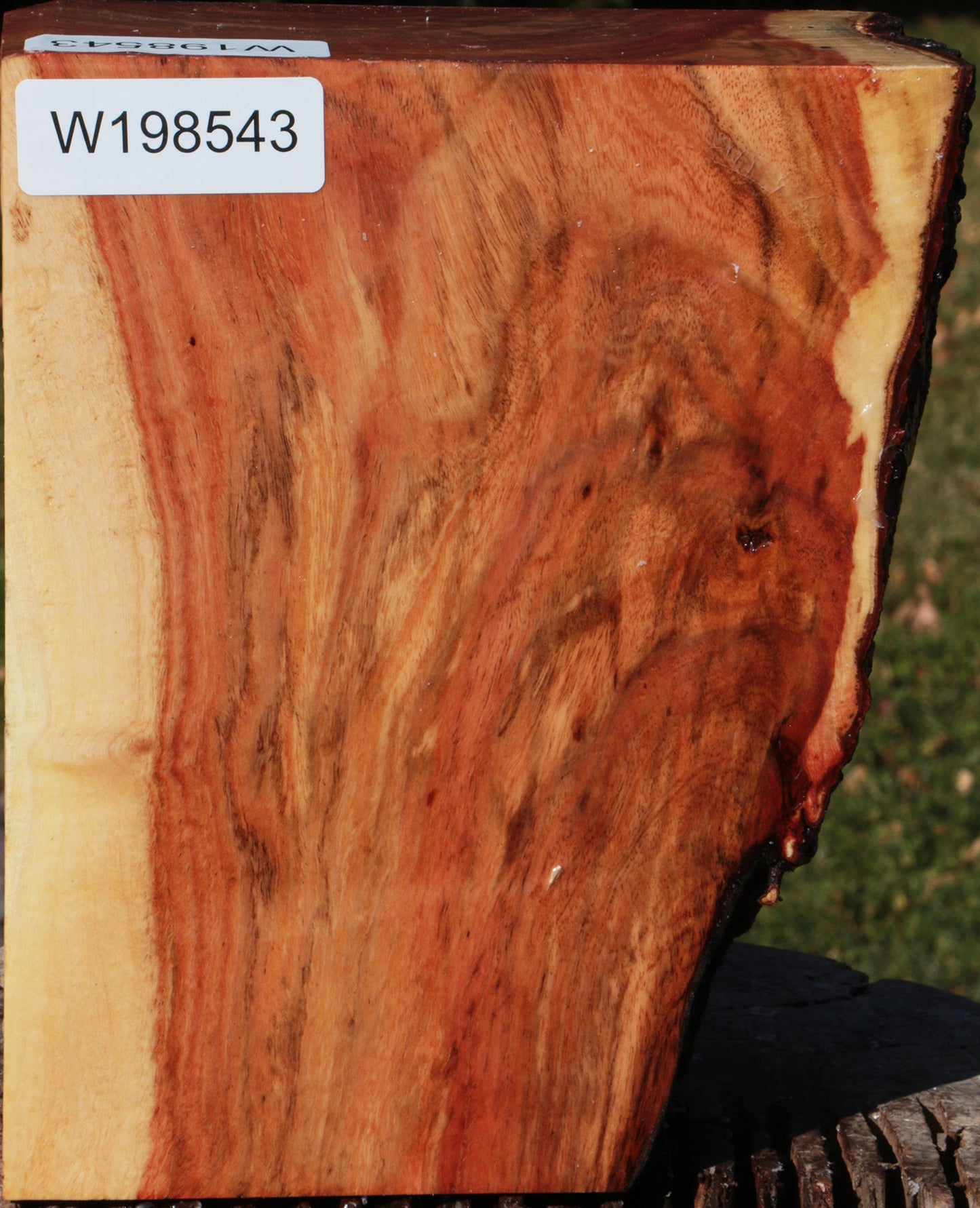 Carob Live Edge Bowl Blank