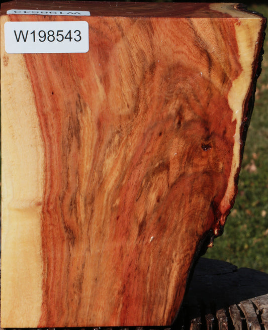 Carob Live Edge Bowl Blank