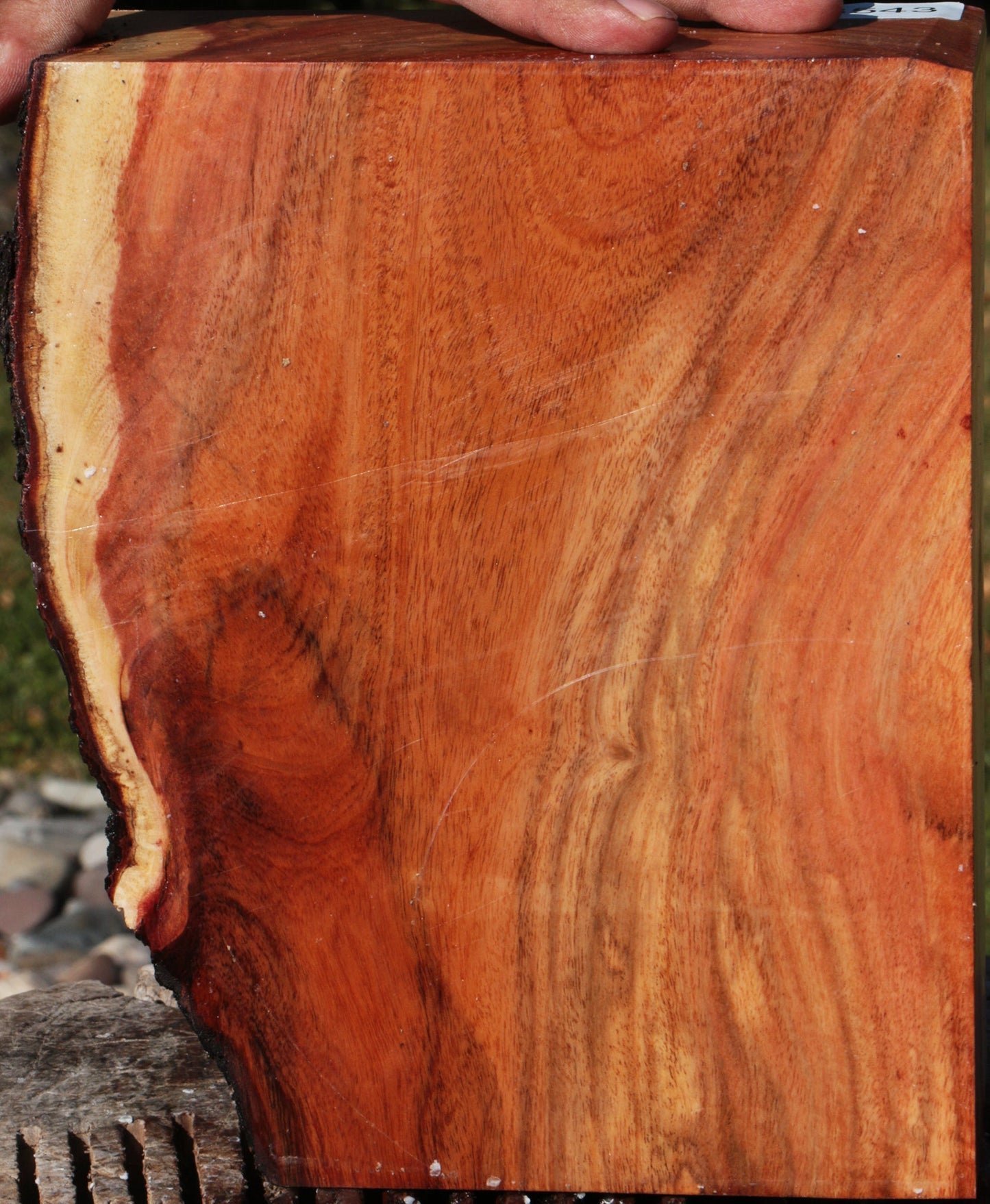 Carob Live Edge Bowl Blank