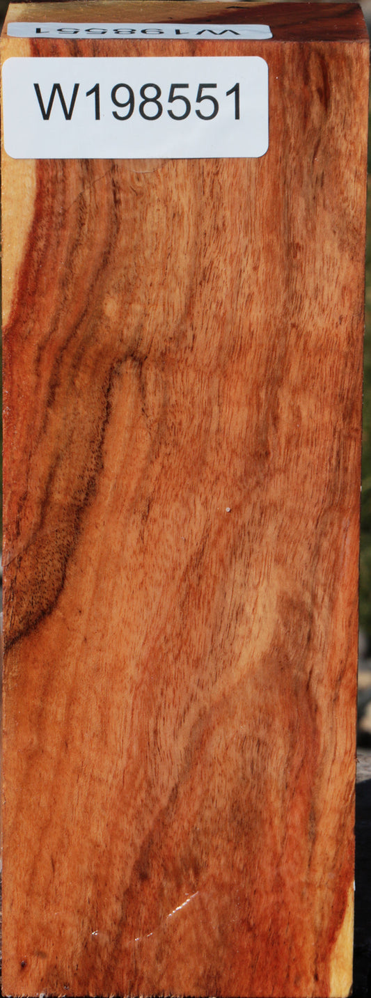 Carob Turning Blank