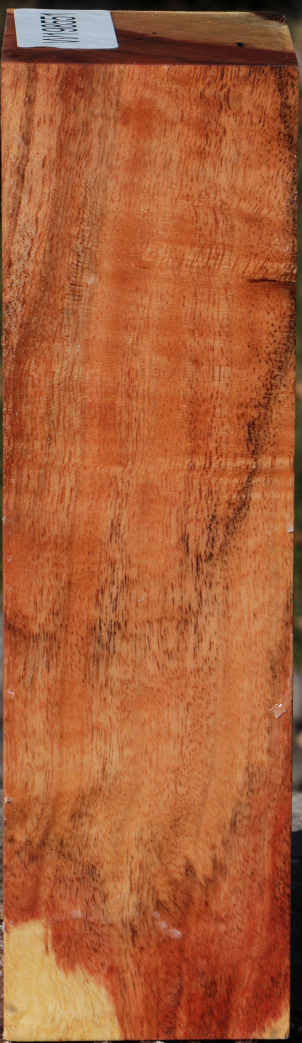 Carob Turning Blank
