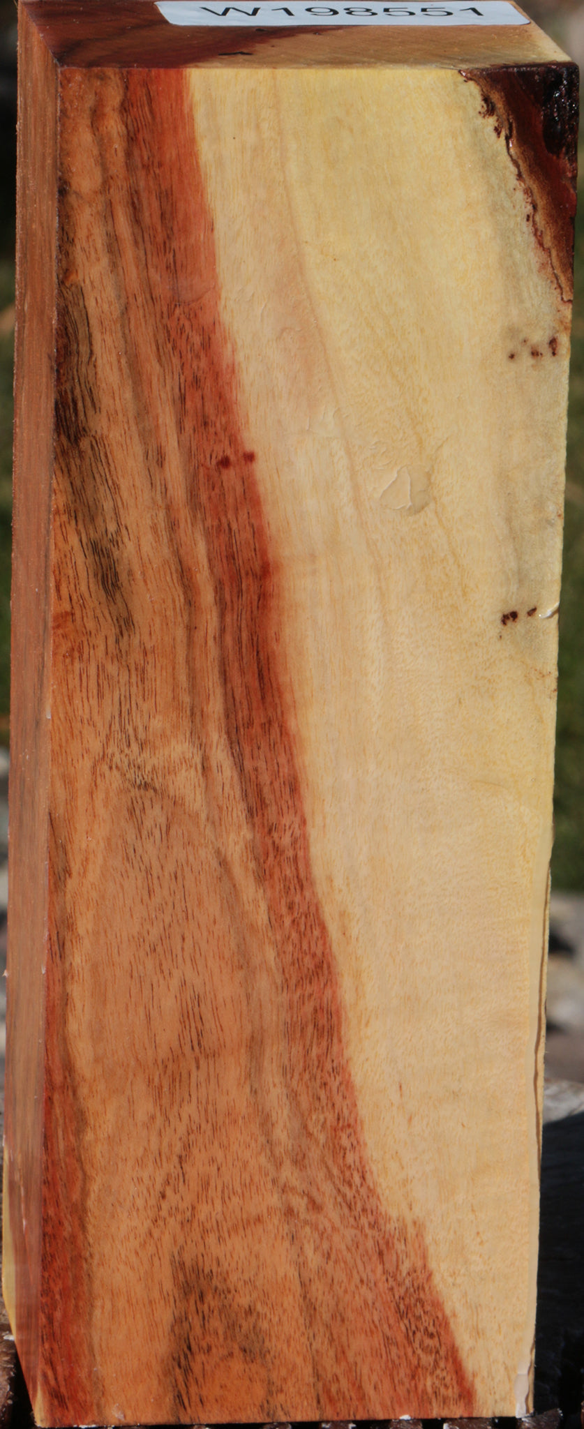 Carob Turning Blank
