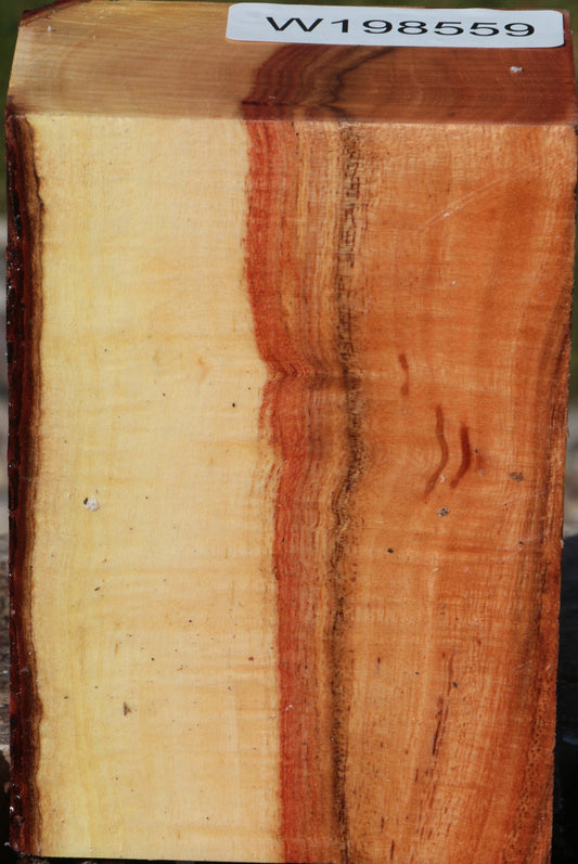 Figured Carob Turning Blank