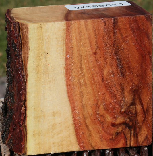 Carob Live Edge Bowl Blank