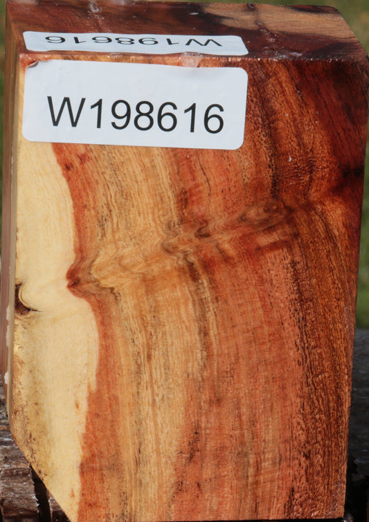 Carob Turning Blank