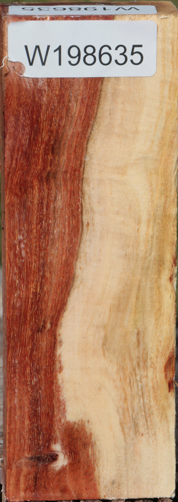 Carob Turning Blank