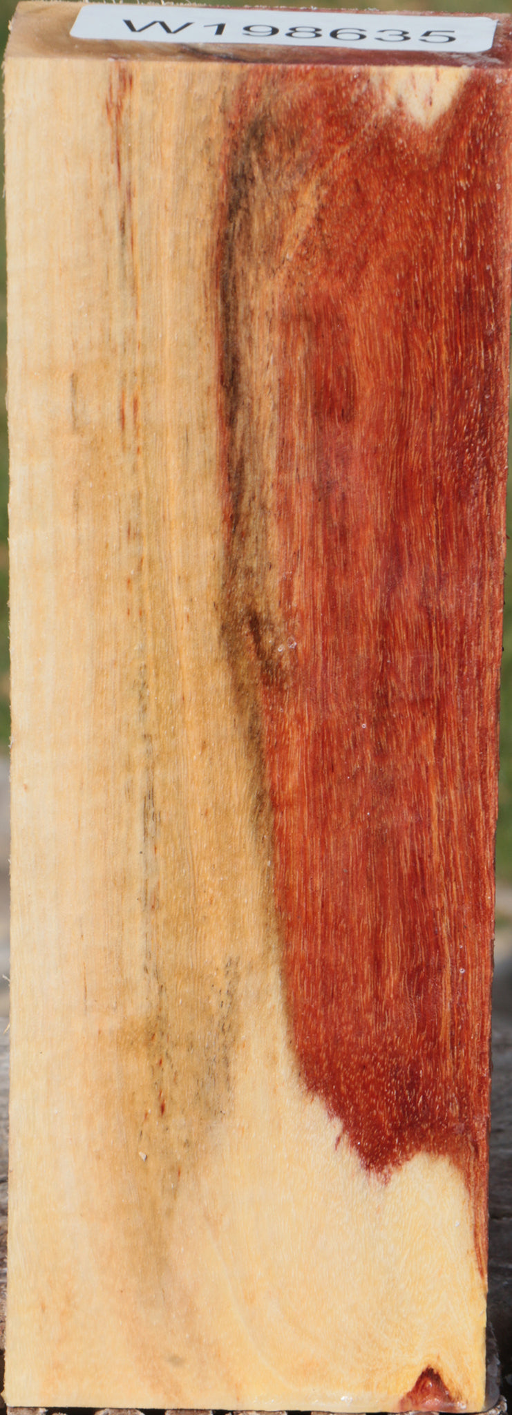 Carob Turning Blank
