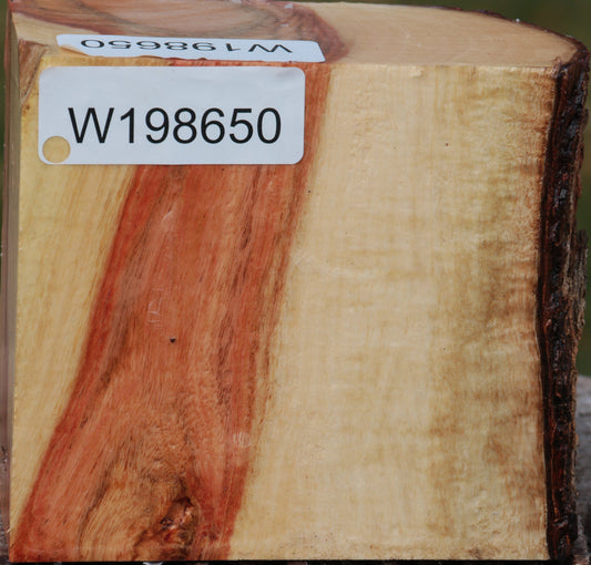 Carob Live Edge Bowl Blank