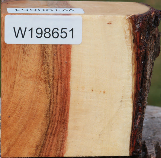 Carob Live Edge Bowl Blank