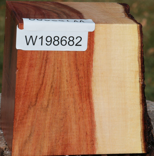 Carob Live Edge Bowl Blank