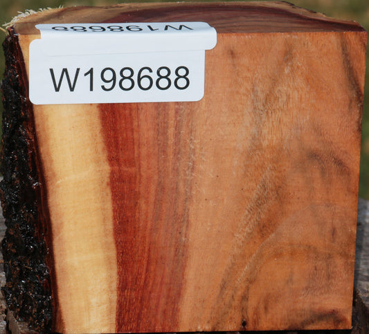 Carob Live Edge Bowl Blank