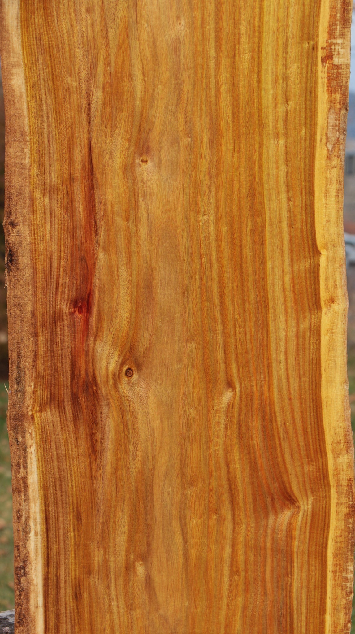 Canary Live Edge Lumber – Cook Woods