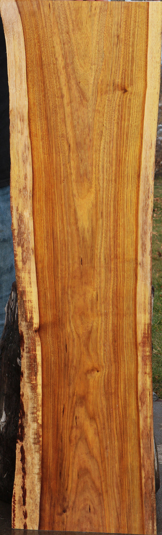 Canary Live Edge Lumber