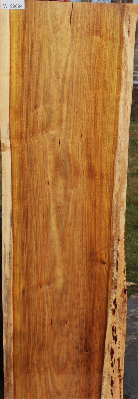 Canary Live Edge Lumber