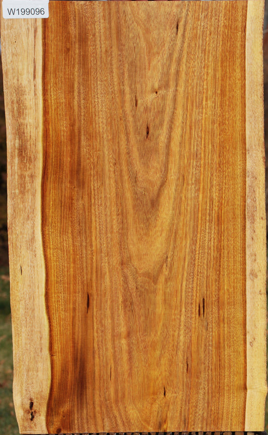 Canary Live Edge Lumber