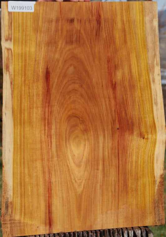 Canary Live Edge Lumber