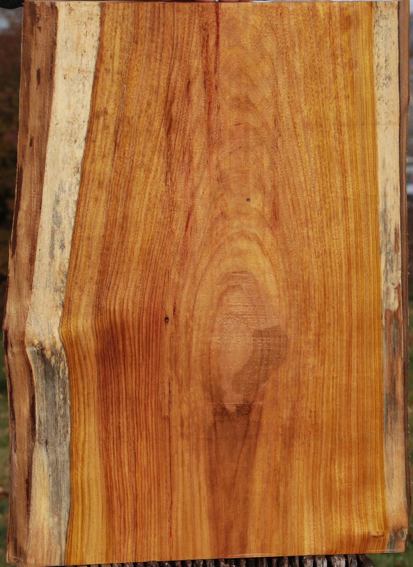 Canary Live Edge Lumber