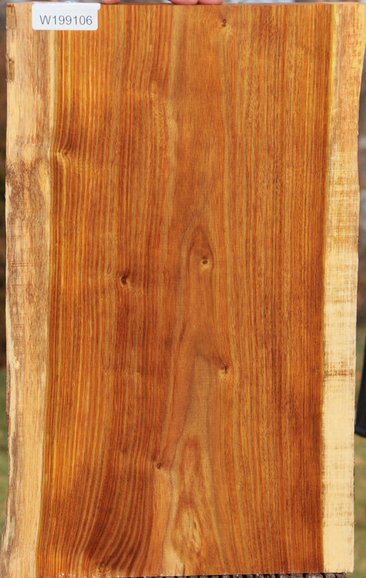 Canary Live Edge Lumber